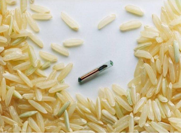 10x MICROCHIPS INYECTABLES DATAMARS - Image 4